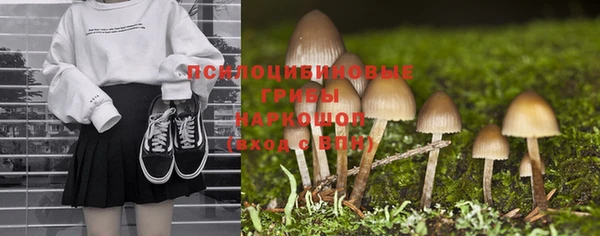 спиды Алексин