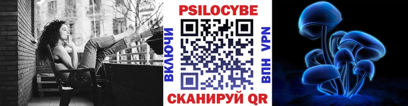 Псилоцибиновые грибы мицелий  купить закладку  Всеволожск 